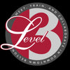 Level 3 logo